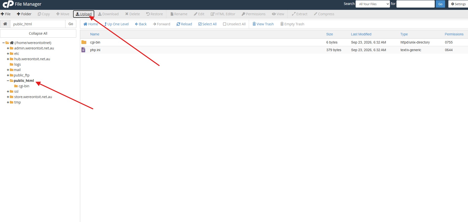 Reply View Asset
